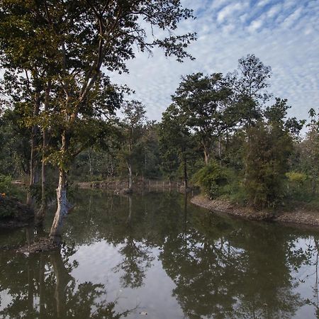 Wowstayz Pachmarhi Ecotel Eksteriør bilde